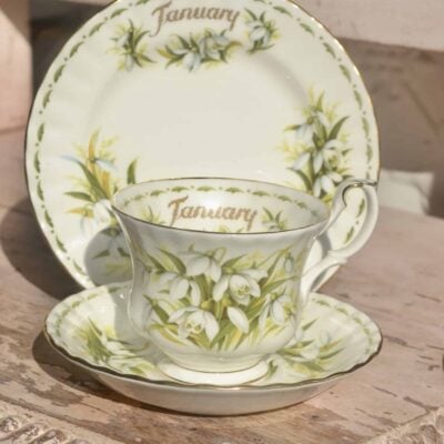 Royal Albert Snowdrops Trio Teacup Posy