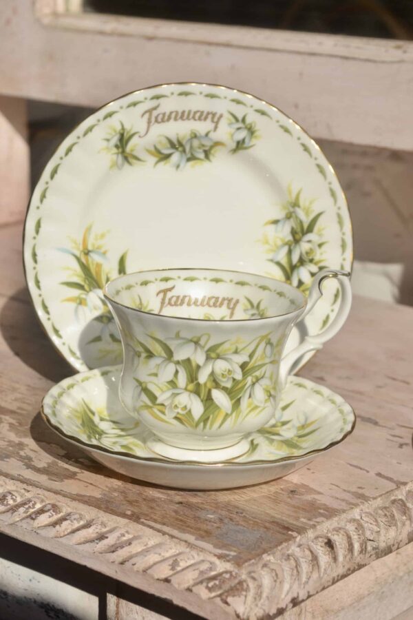 Royal Albert Snowdrops Trio Teacup Posy