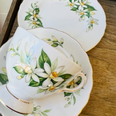 Royal Tuscan Orchid Trio Teacup Posy