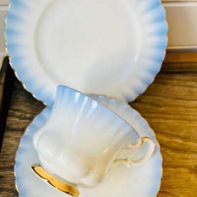 Royal Albert Rainbow Blue Trio Teacup Posy