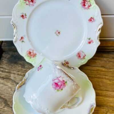 Edwardian Teacup with fresh flowers