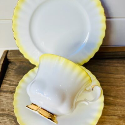 Royal Albert Rainbow Lemon Trio Teacup Posy