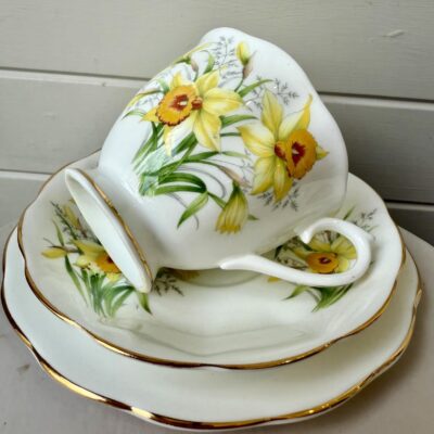Royal Albert 'Friendship' Daffodils