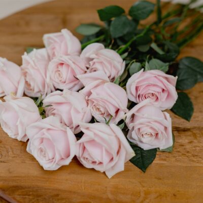 bunch of pink roses