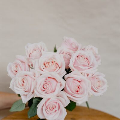 fresh pink roses delivery newcastle