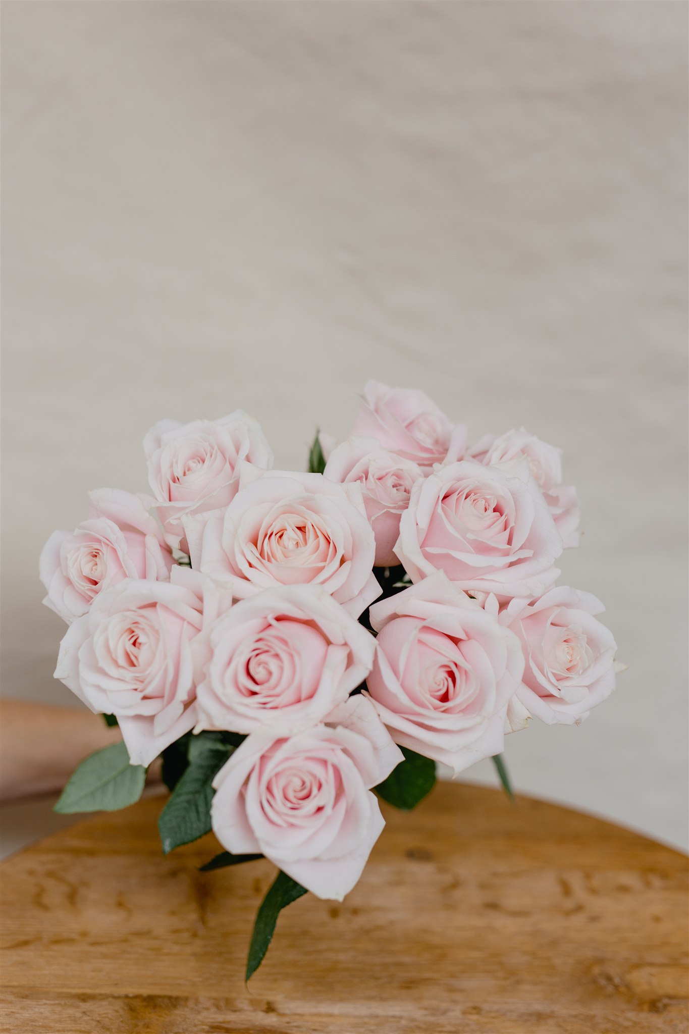 fresh pink roses delivery newcastle