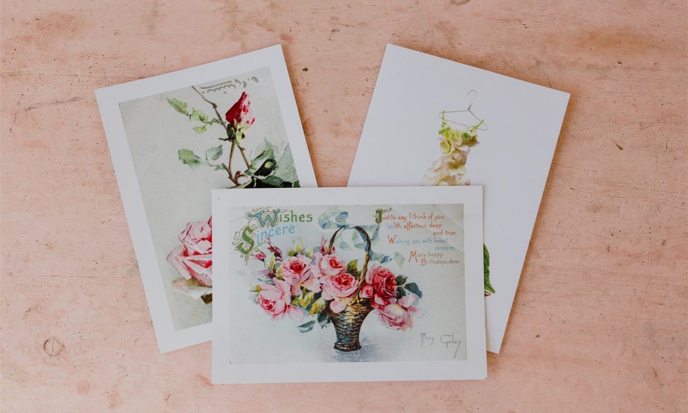 Mayflowers Shoots Mayflowers Shoots