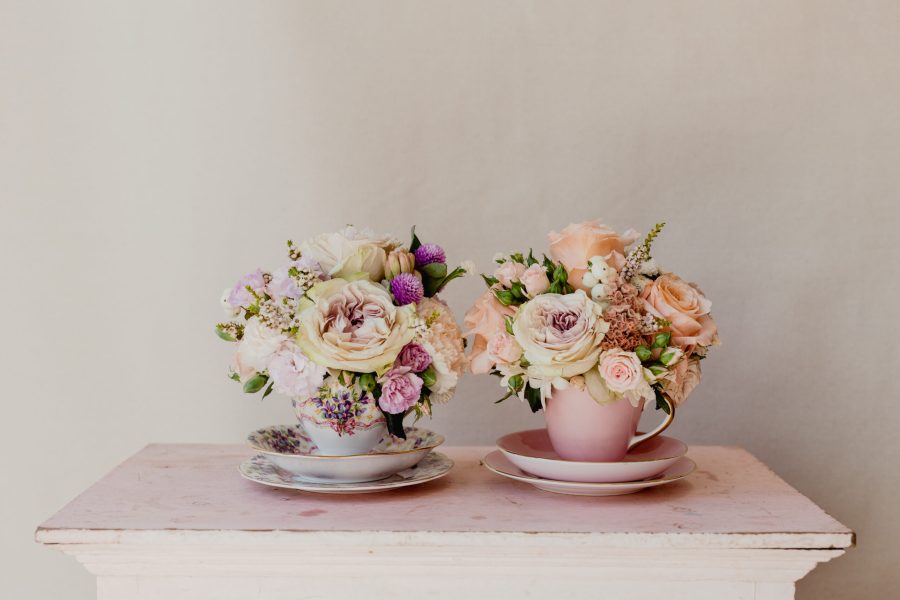Mayflowers Shoots