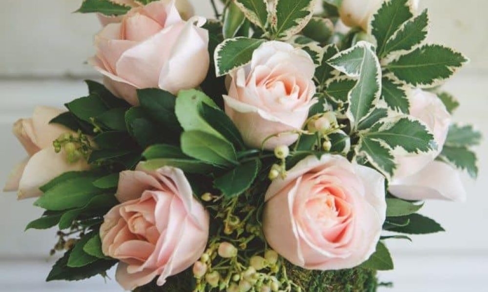 Mayflowers (2 of 29)