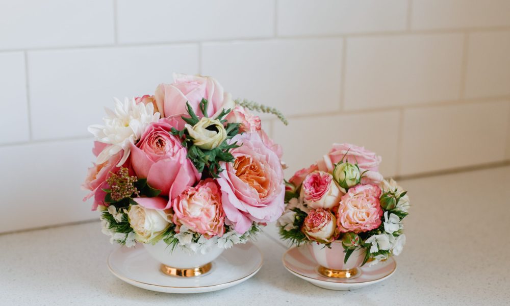 Mayflowers1-15-2 Mayflowers1-15-2