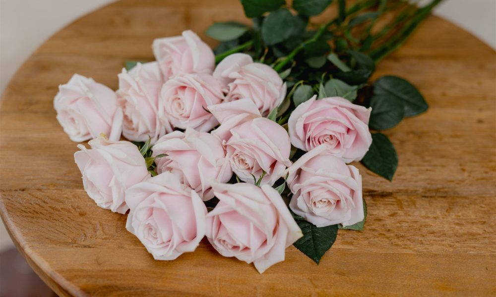 Mayflowers Shoots bunch of pink roses