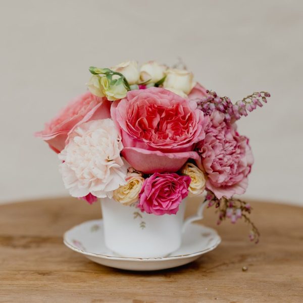 Mayflowers Shoots