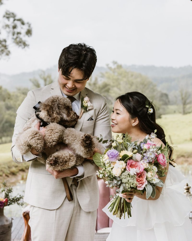 Bride and Groom cuddling and smiling at a brown cavoodle dog at Goosewing Cottage, Hunter Valley in the heart of Springtime. Bride is holding a large boquet of flowers featuring a bright, spring colour palette. Ranunculas, rose, lisianthks, Gerber, love in a mist, queen annes lace and easter daisy.